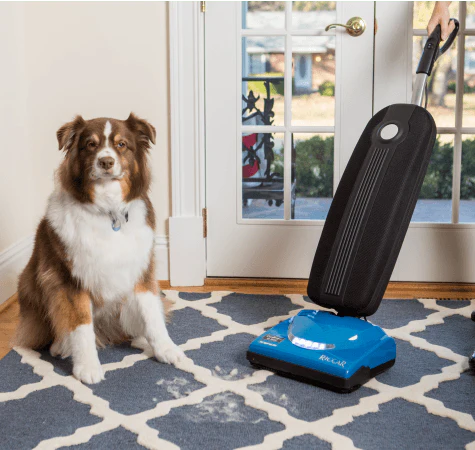 Riccar R10CV Cordless SupraLite Vacuum - Image 3