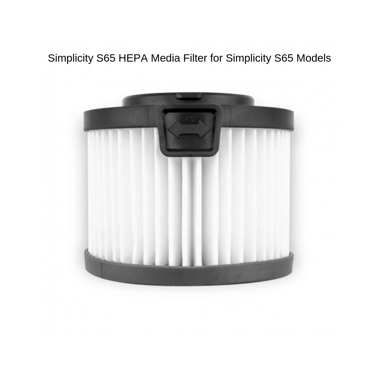 Simplicity (S65) HEPA Media Filter - Image 2